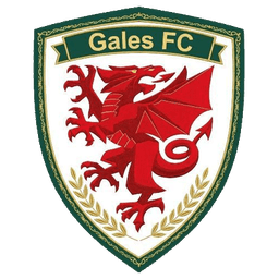 Escudo de Gales FC