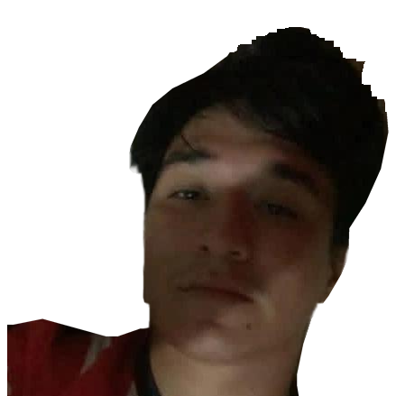 Jesús Ibarra